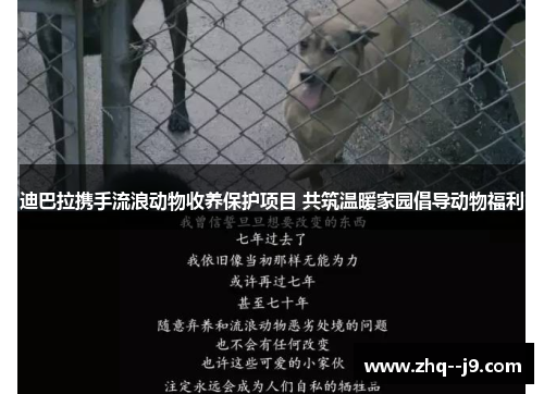 迪巴拉携手流浪动物收养保护项目 共筑温暖家园倡导动物福利